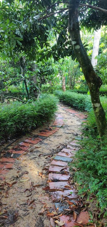 The Vintage Chikmagalur Apartamento Exterior foto